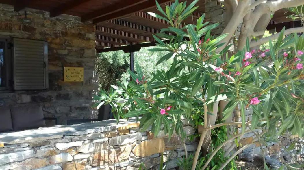 Elea Koundouros Βίλα Εξωτερικό φωτογραφία